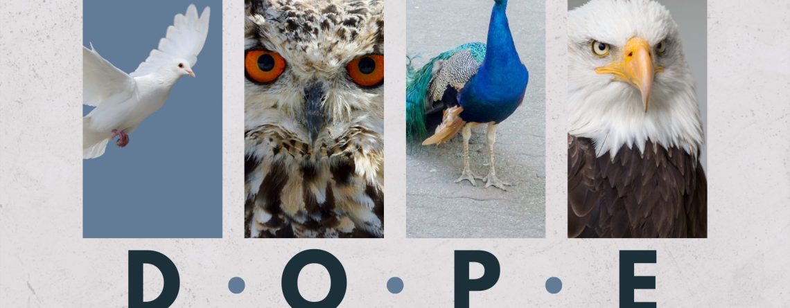 DOPE Personality Test